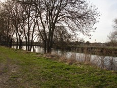 cabanes perchées Pons 17
